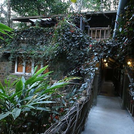Greenspaces B&B Munnar Exteriér fotografie