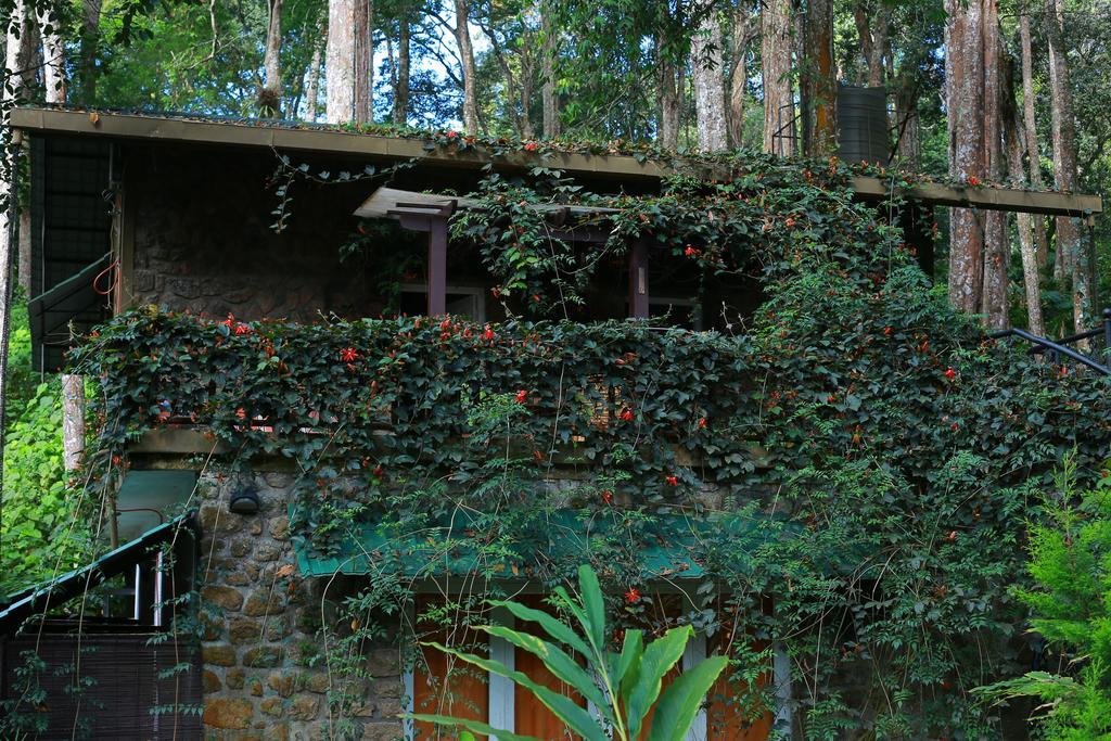 Greenspaces B&B Munnar Exteriér fotografie