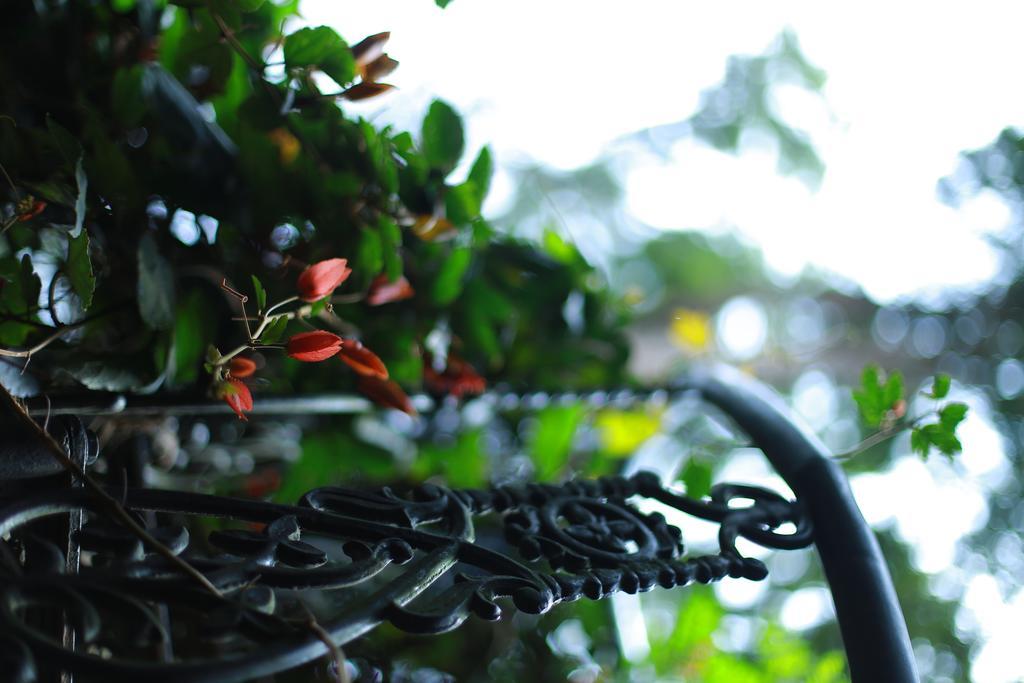 Greenspaces B&B Munnar Exteriér fotografie