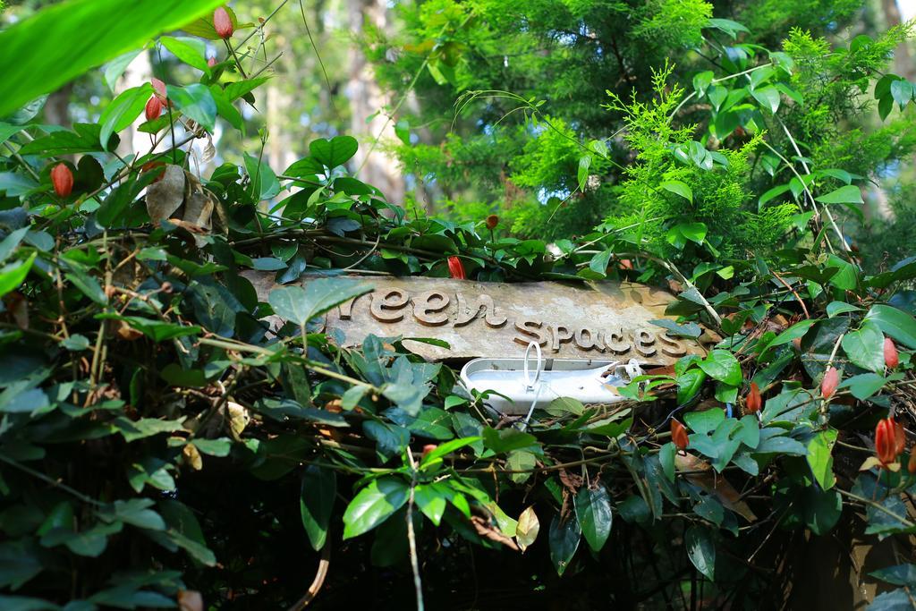 Greenspaces B&B Munnar Exteriér fotografie