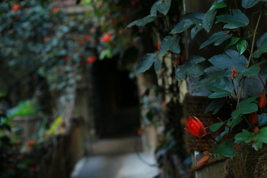 Greenspaces B&B Munnar Exteriér fotografie