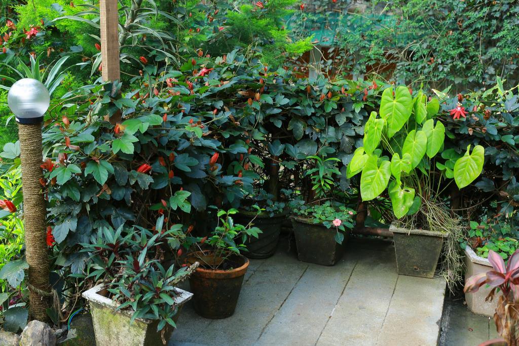 Greenspaces B&B Munnar Exteriér fotografie