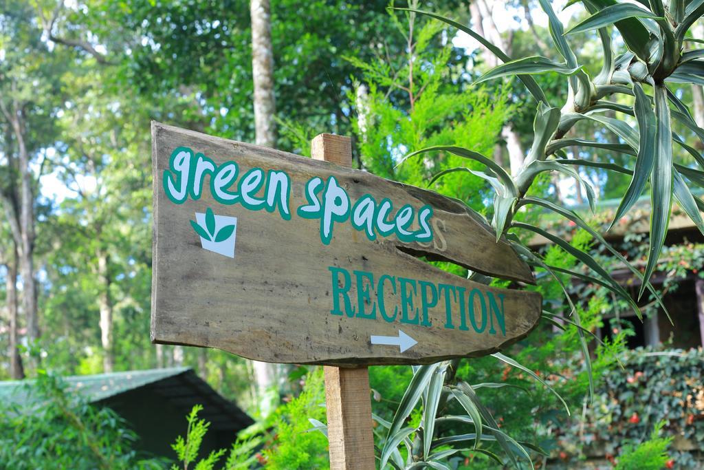 Greenspaces B&B Munnar Exteriér fotografie