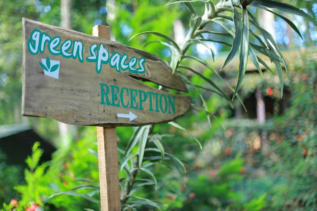 Greenspaces B&B Munnar Exteriér fotografie