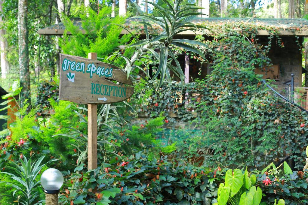 Greenspaces B&B Munnar Exteriér fotografie