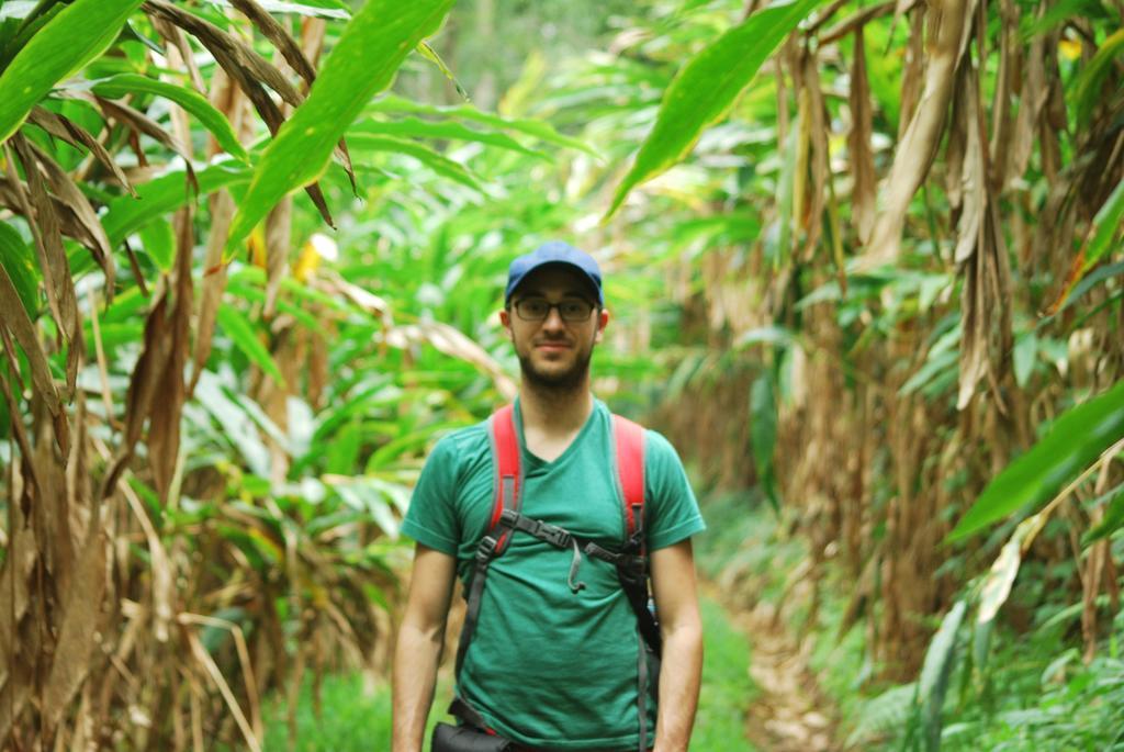 Greenspaces B&B Munnar Exteriér fotografie