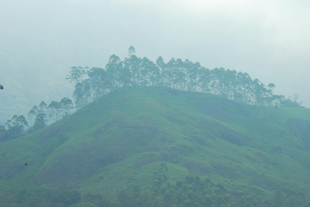 Greenspaces B&B Munnar Exteriér fotografie