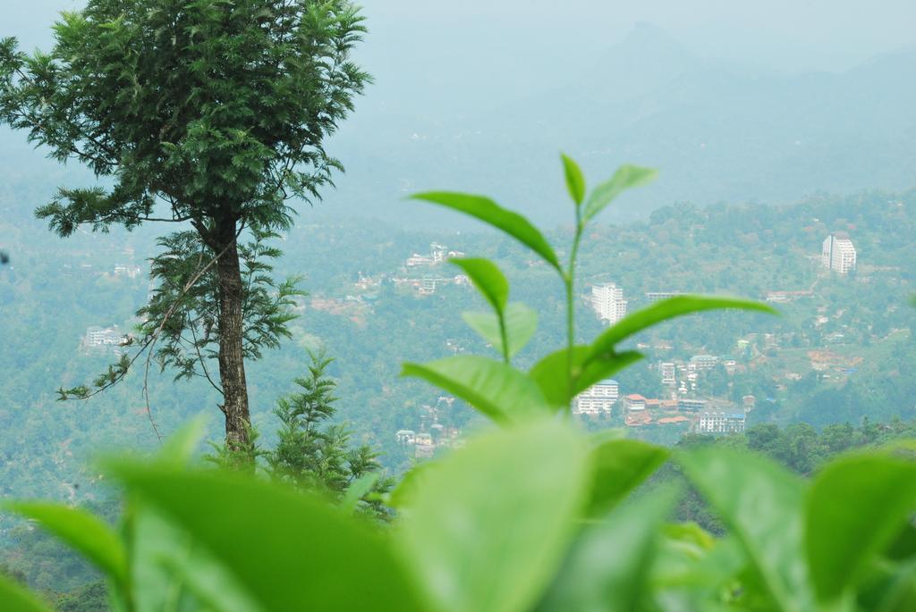 Greenspaces B&B Munnar Exteriér fotografie