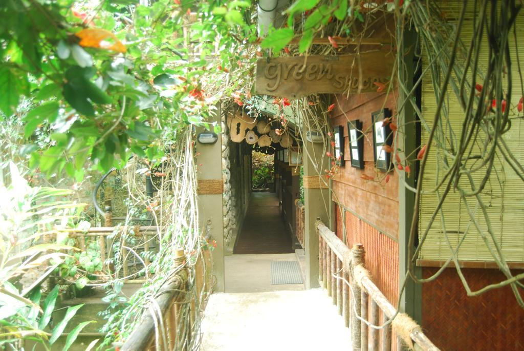 Greenspaces B&B Munnar Exteriér fotografie