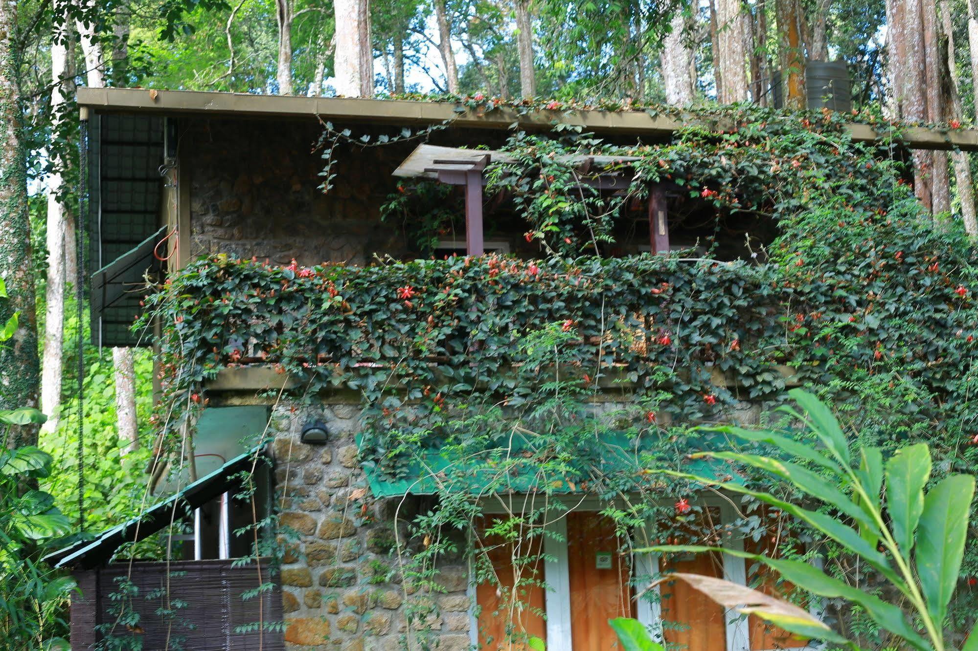 Greenspaces B&B Munnar Exteriér fotografie